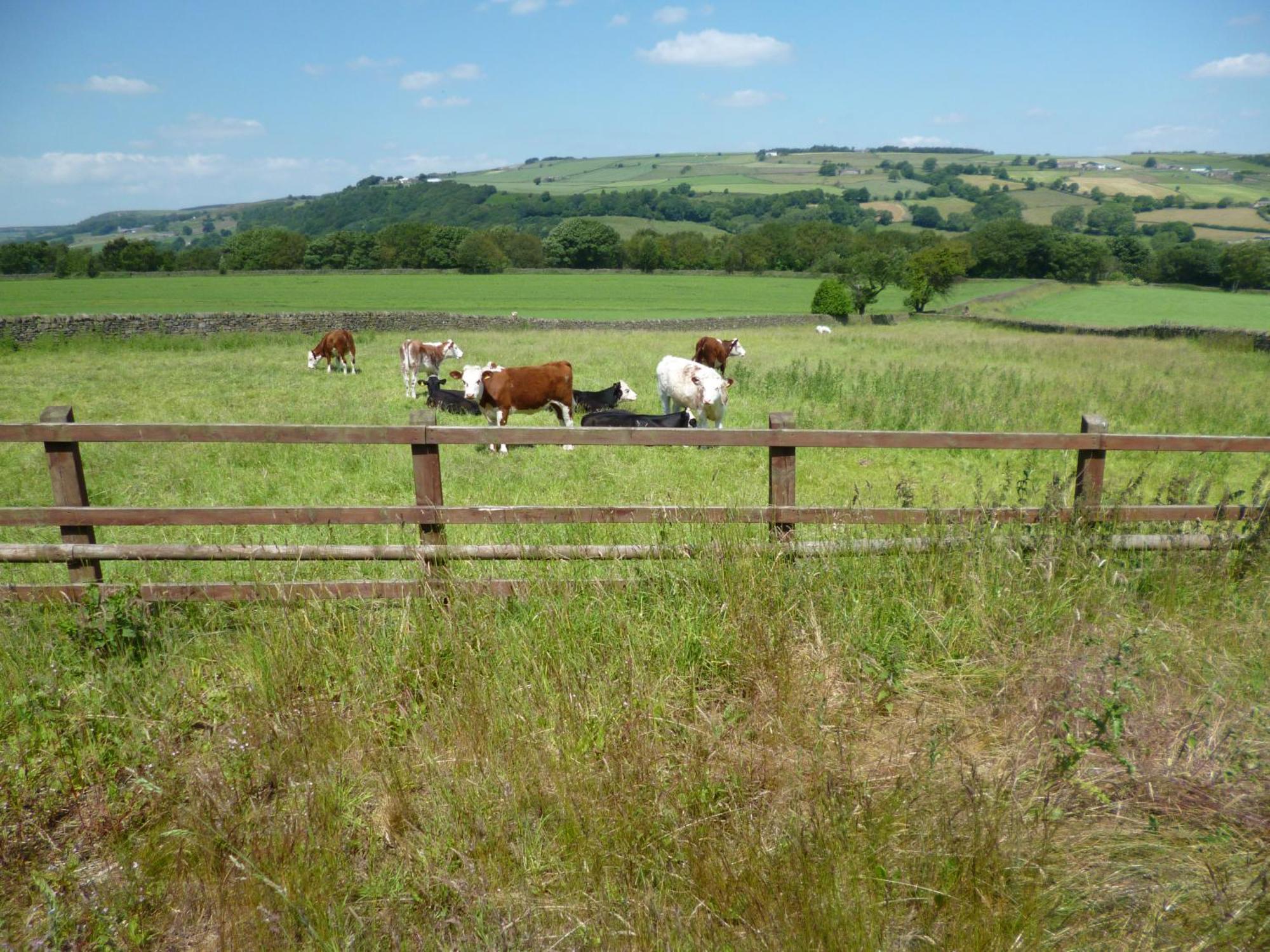 Padley Farm Apartment Bradfield Екстериор снимка